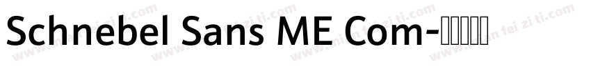 Schnebel Sans ME Com字体转换